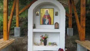 Днес е Петковден