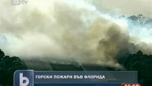 Горски пожари подпалиха Флорида