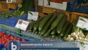 Испания губи по 200 млн. евро на седмица заради заразените краставици