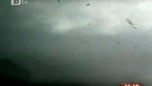 Торнадо уби четирима в Масачузетс