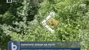 Чистят пътищата от шубраци и дървета