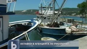 Сменят шефа на Агенцията по рибарство и аквакултури