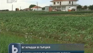 България отесня за крадците - изнасяме ги на юг