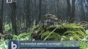 Планината – приятната алтернатива за лятната ни почивка 