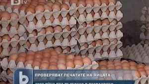 Откриха 4000 яйца с неясна маркировка в Пловдив
