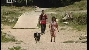 Горещини и магнитни бури на Еньовден 