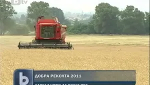 Производителите на зърно очакват добра реколта