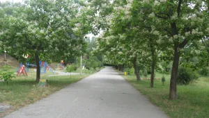 Алея 