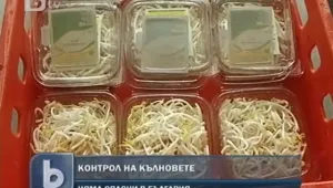 В България няма кълнове, заразени с Е.коли