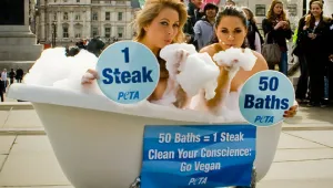 PETA опря до порно в името на животните