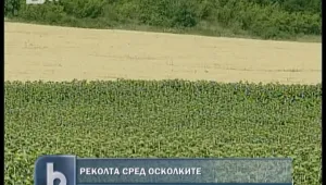 Достъпът до 11 парцела край Петолъчката вече разрешен