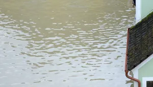Бури, валежи и високи води на реките в Северозападна България