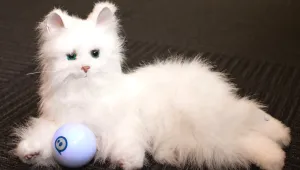 Създадоха робот, бягащ като котка
