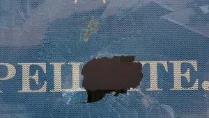 Вандали разбиха офис на ДПС в Севлиево