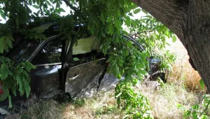 Двама шофьори загинаха след удари в дърво и мантинела край пътя