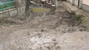 Започва пръскане срещу комари в 