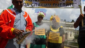 Пчелари пред парламента: Няма да си местим кошерите (ВИДЕО)