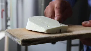 Агенцията по храните започва масови проверки на млечни продукти