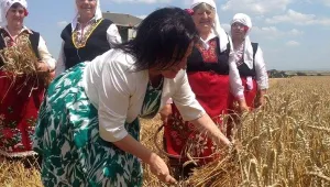 През 2016 г. ще имаме по-висок добив на пшеница, обяви Десислава Танева 