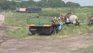 Незаконна сеч минава под прикритието на европрограми