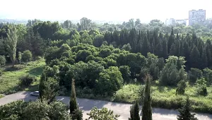 Казусът 