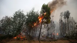 Жега в Гърция, пожари горят в Португалия