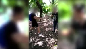 Клип с ученици, които малтретират коте, потресе социалните мрежи 