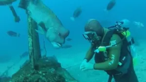 Подводна любов (ВИДЕО)