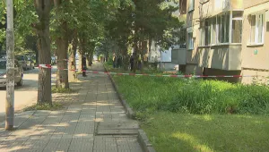 Семейството, укривало Владимир Пелов, е живяло в страх