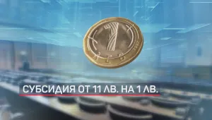 Нови идеи за размера на субсидиите за политическите партии