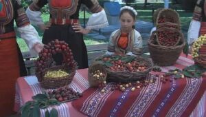 Празник на черешата за 12 път в Кюстендил