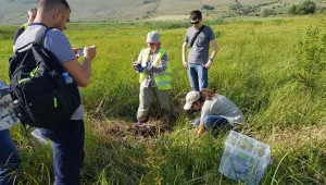 Рядък вид теменуги са преместени от трасето на магистрала 