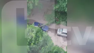 Дърво падна върху кола на улица в Стара Загора