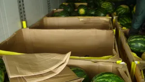 Откриха нелегални мигранти в камион с дини на 