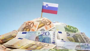 Словения плаща 12 000 евро за два месеца лежане в легло