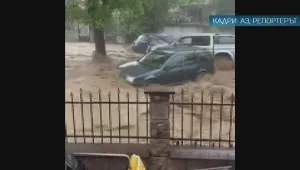От 13 януари ще раздават държавна помощ на пострадалите от наводненията в Берковица през 2023 г. 