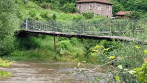 Пропадане, стърчащи пирони и липсващи дъски на мост, свързващ село Левище със света