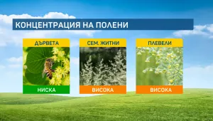 Алергичните към полени няма да могат да си отдъхнат и тази седмица