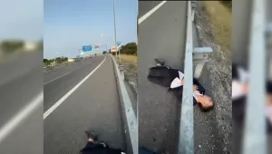 Откриха костюмиран младеж да спи на магистрала след запой (ВИДЕО)