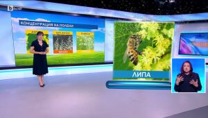 Времето - Централна емисия - 08.06.2025	