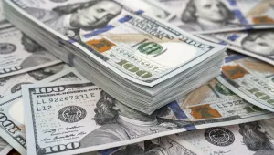 Семейна двойка опита да влезе в Румъния със скрити по телата си 1,4 млн. долара (ВИДЕО)