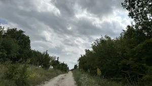 Полицията забрани достъпа до Шуменско плато заради издирвания хищник