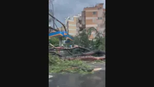 Торнадо премина през североизточните райони на Рим (ВИДЕО)