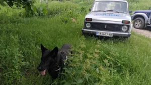 Откриха мъжа, изгубил се преди три денонощия в Родопите 