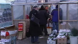 Цветари аранжират букети със защитени растения 