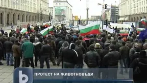  Фермерите протестираха пред Министерски съвет