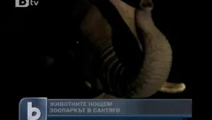 Зоологическата градина в Сантяго отвори врати за нощни турове