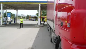 Малки и големи застават заедно на пътя