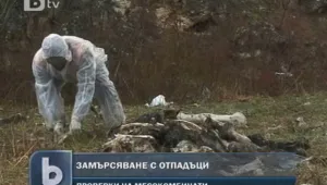Откриха тонове животински кости край Хасково