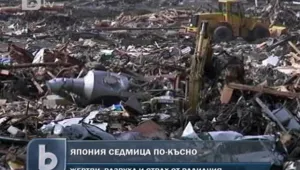 Минута мълчание за жертвите в Япония